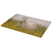 Frühling Schneidebrett (Ecke)