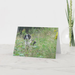 Frühling Spaniel, Grußkarte Karte