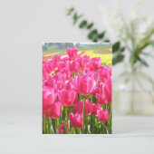 Frühling Tulips in Oregon Postkarte (Stehend Vorderseite)