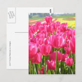 Frühling Tulips in Oregon Postkarte (Vorne/Hinten)