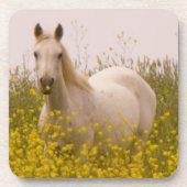 Frühling Untersetzer (Vorderseite)