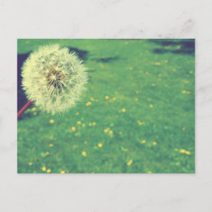 Frühling Vintage Wünsche Fotografie Postkarte
