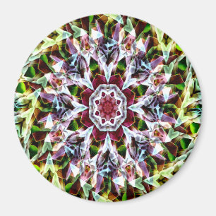 Frühling voller Blüte...... Magnet