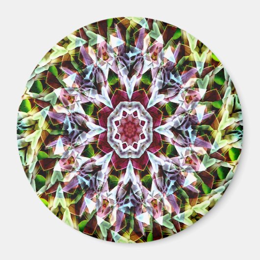 Frühling voller Blüte...... Magnet (Vorne)
