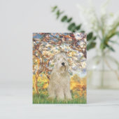 Frühling - Wheaten Terrier 7 Postkarte (Stehend Vorderseite)