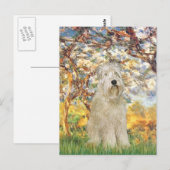 Frühling - Wheaten Terrier 7 Postkarte (Vorne/Hinten)