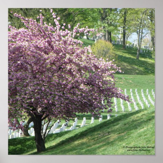 Frühling wieder in Arlington National Friedhof Poster (Vorne)