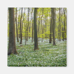 Frühling zum Leben Magnet