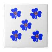 Frühlingblau, blaue Küchenblumen Fliese (Vorderseite)