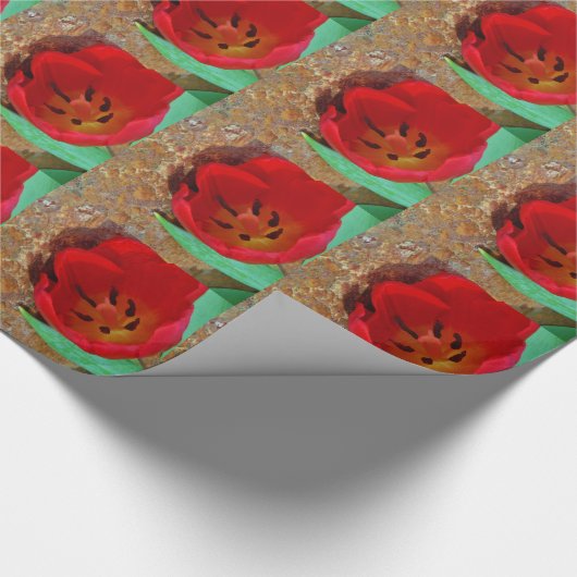 Frühlinggelb und Roter Tulip Geschenkpapier (Ecke)