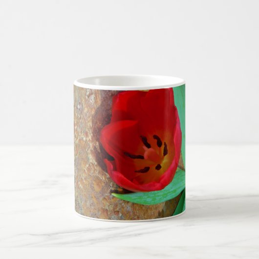 Frühlinggelb und Roter Tulip Kaffeetasse (Mittel)