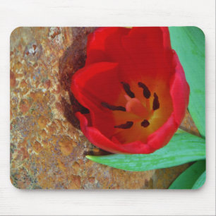 Frühlinggelb und Roter Tulip Mousepad