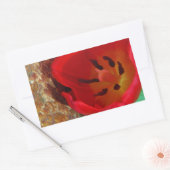 Frühlinggelb und Roter Tulip Rechteckiger Aufkleber (Umschlag)
