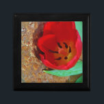 Frühlinggelb und Roter Tulip Schmuckschachtel<br><div class="desc">Frühlingsgelb und Red Tulip,  gegen einen braunen Felsen am Arrowhead See. Foto von Sandy Closs. Ostern,  Blumen,  rote Blume,  Frühling,  Valentine,  Valentine,  Hochzeiten,  Hochzeiten,  Valentinstag</div>