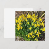 Frühlinggelbe Daffodien flache Grußkarte (Vorne/Hinten)