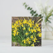 Frühlinggelbe Daffodien flache Grußkarte (Stehend Vorderseite)