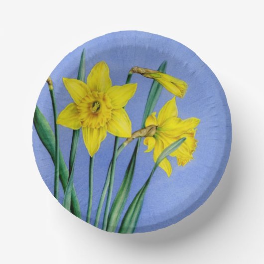 Frühlinggelbe Daffodien Kunst blaue Himmelsoster Pappteller (Vorderseite)