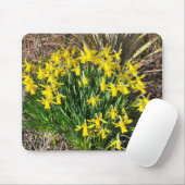 Frühlinggelbe Daffodien Maus Mat Mousepad (Mit Mouse)