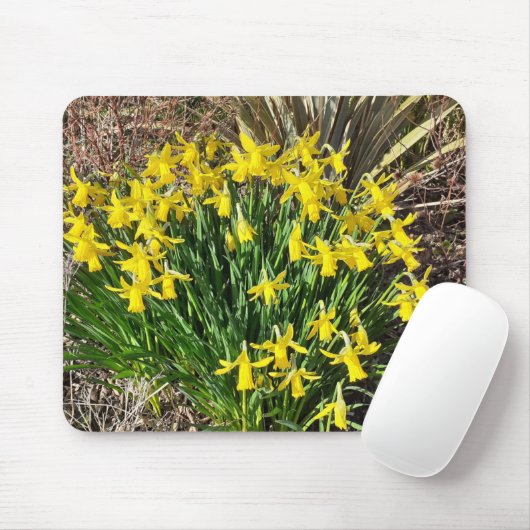 Frühlinggelbe Daffodien Maus Mat Mousepad (Mit Mouse)
