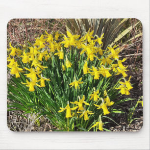 Frühlinggelbe Daffodien Maus Mat Mousepad