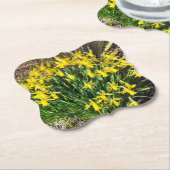 Frühlinggelbe Daffodien Papier Untersetzer (angewinkelt)