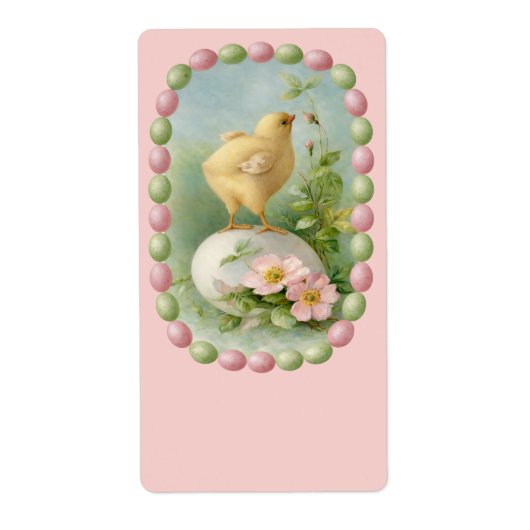 Frühlingküken mit Pastell-Eier-Rahmen (Vorne)