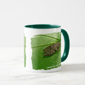 FrühlingPeeper (Pseudacriskreuzblüter) Treefrog Tasse (VorderseiteRechts)