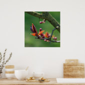 Frühlingposter Poster (Küche)