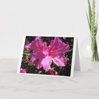 Frühlings-Anmerkungs-Karte Karte