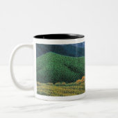 Frühlings-Berge Zweifarbige Tasse (Links)