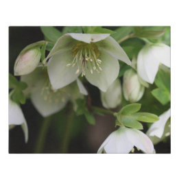 Frühlings-Blume Imitate überwölbte Canvas Print Künstlicher Leinwanddruck