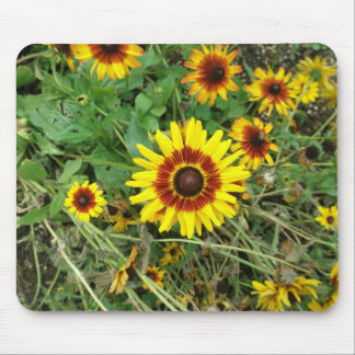Frühlings-Blume Mousepad
