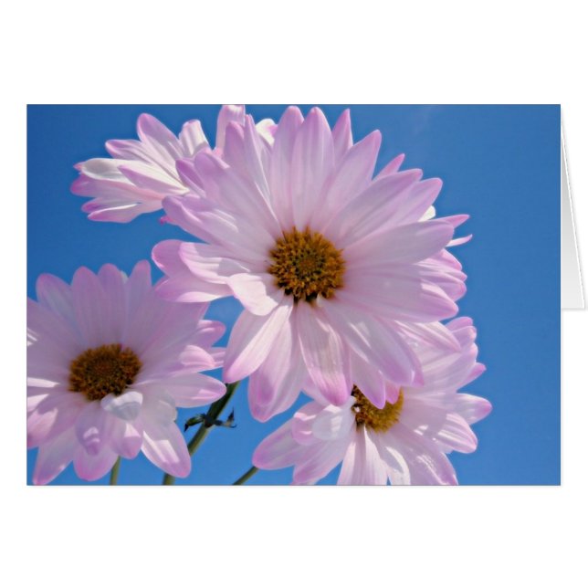 Frühlings-Blumen (Vorderseite (Horizontal))