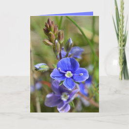 Frühlings-Blumen-Gruß-Karte Karte