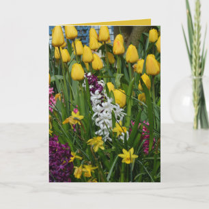 Frühlings-Blumen-Gruß-Karte Karte