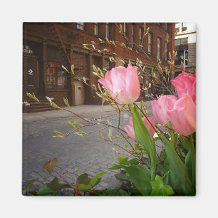Frühlings-Blumen in Soho, New York City Magnet