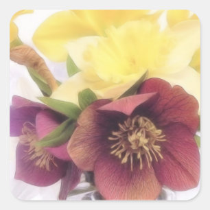 Frühlings-Blumenstrauß - Hellebores und Narzisse Quadratischer Aufkleber