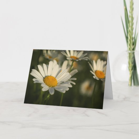 Frühlings-Blüte Karte (Vorderseite)