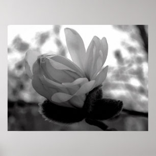 Frühlings-Blüten-Druck Poster