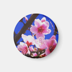 Frühlings-Blüten Magnet