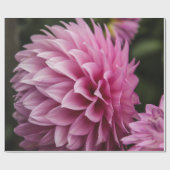 Frühlings-Dahlie-Blume Geschenkpapier (Flach)