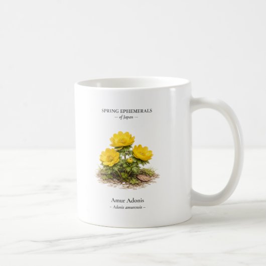 Frühlings-Ephemeriden Japans – Amur-Adonis Kaffeetasse (Rechts)