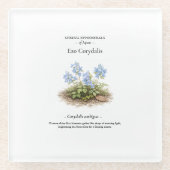 Frühlings-Ephemeriden Japans – Ezo Corydalis Glasuntersetzer (Vorderseite)