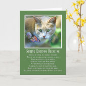 Frühlings-Equinox-Ostara-Katze und Schmetterling Karte (Gelbe Blume)