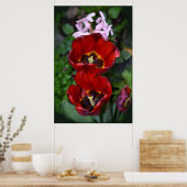 Frühlings Erwachen, Tulpen Poster (Küche)