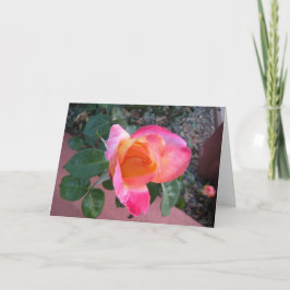 Frühlings-Farben danken Ihnen zu kardieren Dankeskarte