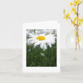 Frühlings-Gänseblümchen Karte (Gelbe Blume)