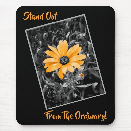 Frühlings-Gänseblümchen-orange Mousepad (Vorne)