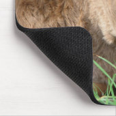 Frühlings-Kalb Mousepad (Ecke)