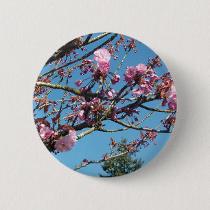 Frühlings-Kirschblüte Button